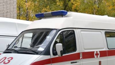 Авария с фурой и легковушкой в Брянской области привела к госпитализации двух детей