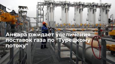 Президент Турции Эрдоган: Анкара ожидает увеличения поставок газа по "Турецкому потоку"