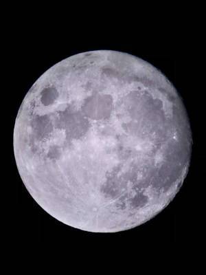Показываю Луну в любительский телескоп. Прямо сейчас Жена давно хотела поесть в дорогом месте Лицемерные…