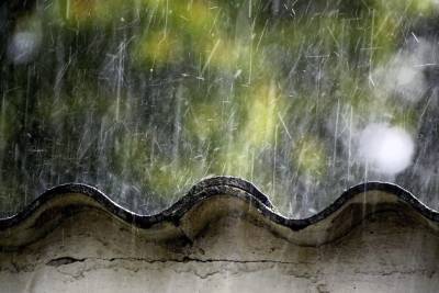 Кратковременные дожди ожидаются в Забайкалье в ближайшие два дня