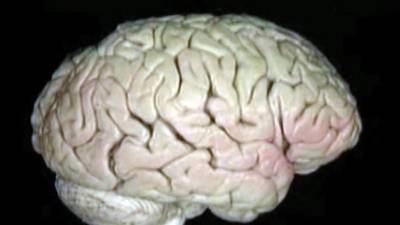 С возрастом ключевые функции мозга улучшаются