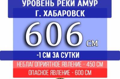 Уровень Амура у Хабаровска упал на 1 см