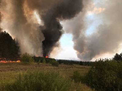 За один день в Удмуртии произошел лесной пожар и возгорание на нефтерождении