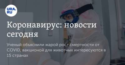 Коронавирус: новости сегодня. Ученый объяснили жарой рост смертности от COVID, вакциной для животных интересуются в 15 странах