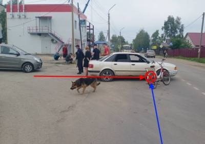 Пьяный велосипедист в Выльгорте попал под колеса Audi