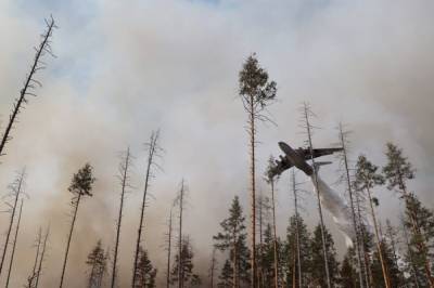 В Усть-Майском районе Якутии обнаружен еще один природный пожар