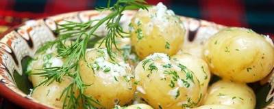Кардиолог Анна Кореневич рассказала о вреде вареного картофеля