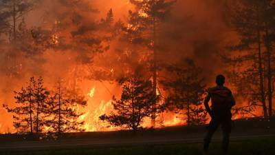 В МЧС рассказали о ситуации с лесным пожаром в Марий Эл