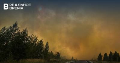 Площадь активного горения леса в Марий Эл увеличилась до 66,5 га