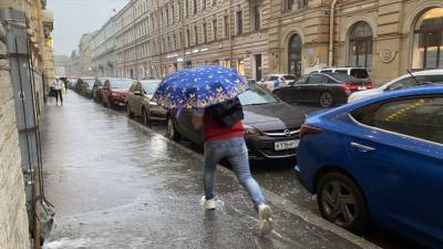 Дождь и ветер ожидаются в Петербурге на предстоящей неделе