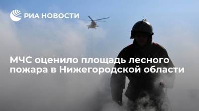 Площадь активного горения лесного пожара в Нижегородской области сократилась до трех гектаров