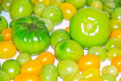 Как хранить зелёные помидоры, чтобы они покраснели