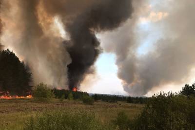 Лесной и полевой пожары ликвидированы в Каракулинском районе