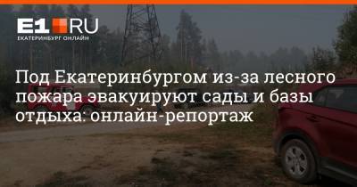 Под Екатеринбургом из-за лесного пожара эвакуируют сады и базы отдыха: онлайн-репортаж