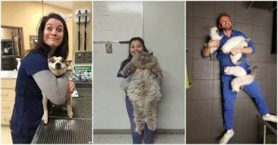 15 ветеринаров, которым просто нужно было показать своих самых очаровательных пациентов