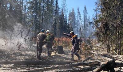 В Башкирии потушили крупный лесной пожар на Инзерских зубчатках