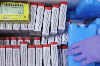 Подтверждены 128 новых случаев COVID-19 в Курганской области