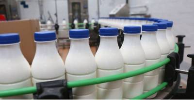 В Беларуси в I полугодии производство молочной продукции возросло почти на 3%