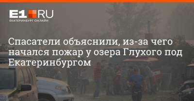 Спасатели объяснили, из-за чего начался пожар у озера Глухого под Екатеринбургом - e1.ru - Екатеринбург - Первоуральск