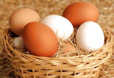 В Україні стали менше виробляти яєць: що буде з цінами