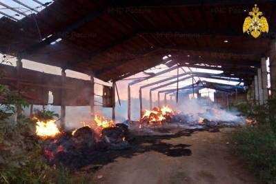 200 рулонов сена сгорели в Рославльском районе