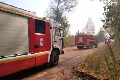 В Самарской области лесной пожар уничтожил 18 строений