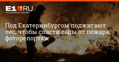 Под Екатеринбургом поджигают лес, чтобы спасти сады от пожара: фоторепортаж
