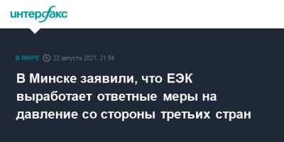 В Минске заявили, что ЕЭК выработает ответные меры на давление со стороны третьих стран