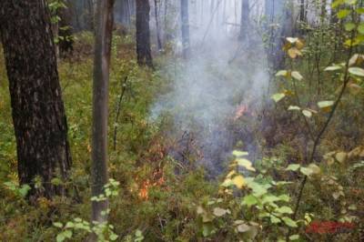 Площадь пожара рядом с базами отдыха в Свердловской области увеличилась