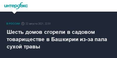 Шесть домов сгорели в садовом товариществе в Башкирии из-за пала сухой травы