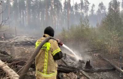 Два пожара тушат на территории Мордовского заповедника