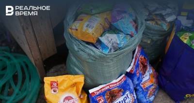 В Нижнекамске волонтеры принесли в приюты животных 250 кг корма