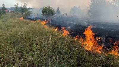 Почти 20 домов сгорели в Самарской области из-за лесного пожара