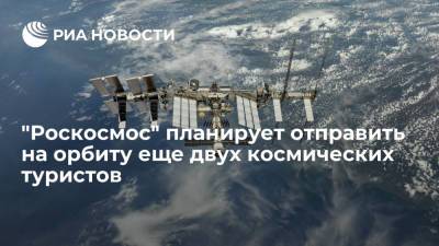 Замглавы госкорпорации Савельев: "Роскосмос" может отправить на орбиту еще двух космических туристов