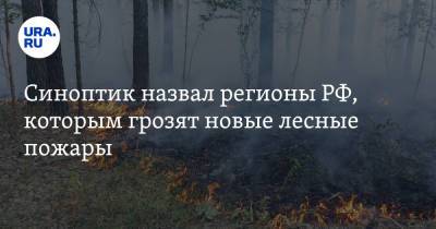 Синоптик назвал регионы РФ, которым грозят новые лесные пожары