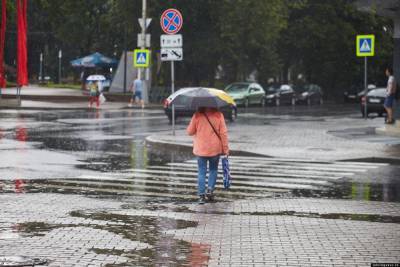 Осень близко: в Ленобласть пришла прохладная погода и дожди