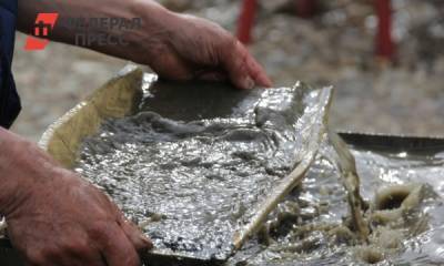 На Алтае налоговая потребовала признать банкротом местных золотодобытчиков
