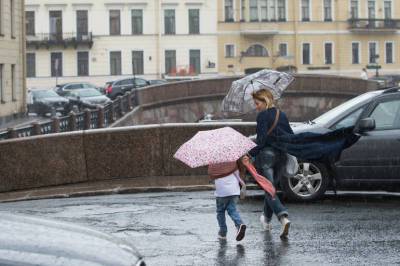 До 12% месячной нормы осадков обещают Петербургу в понедельник