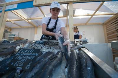 В Петербурге из-за нарушений изъято полтонны рыбы и морепродуктов
