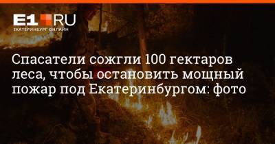 Спасатели сожгли 100 гектаров леса, чтобы остановить мощный пожар под Екатеринбургом: фото - e1.ru - Екатеринбург