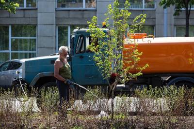 В Челябинске из-за жары отложили высадку деревьев