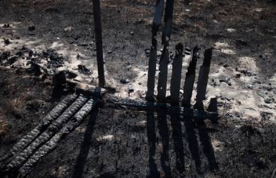 18 сельских домов в Самарской области сгорели во время лесных пожаров