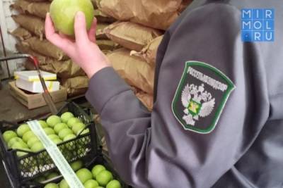Садоводы Дагестана, Ставрополя и Кубани выступили за жёсткий контроль импортируемых яблок