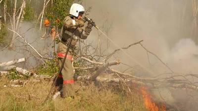 В Башкирии продолжают действовать 14 очагов лесных пожаров