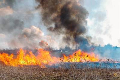 В Ульяновской области тушили 3 лесных пожара и 37 возгораний сухой травы