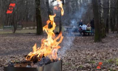 На Среднем Урале лесные пожары происходят по вине людей