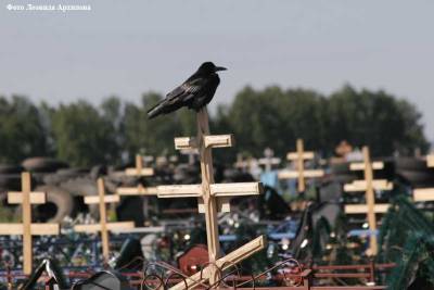 Зауралец похитил с кладбища более 90 надгробных табличек