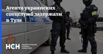 Агента украинских спецслужб задержали в Туле