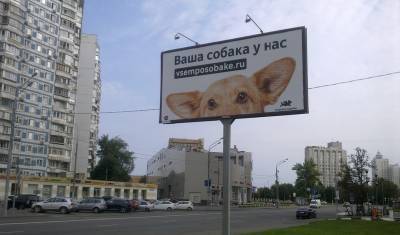 Всем – по собаке! В 2020 году москвичи забрали из приютов 3000 животных