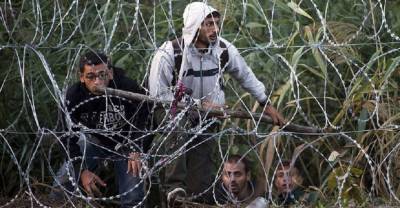 МИД РФ: Польша спровоцировала самостоятельно кризис с мигрантами